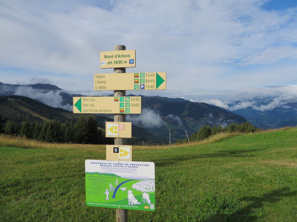 Mont d'Arbois et Mont Joux face au Mont Blanc. - Sarrebourg 57400