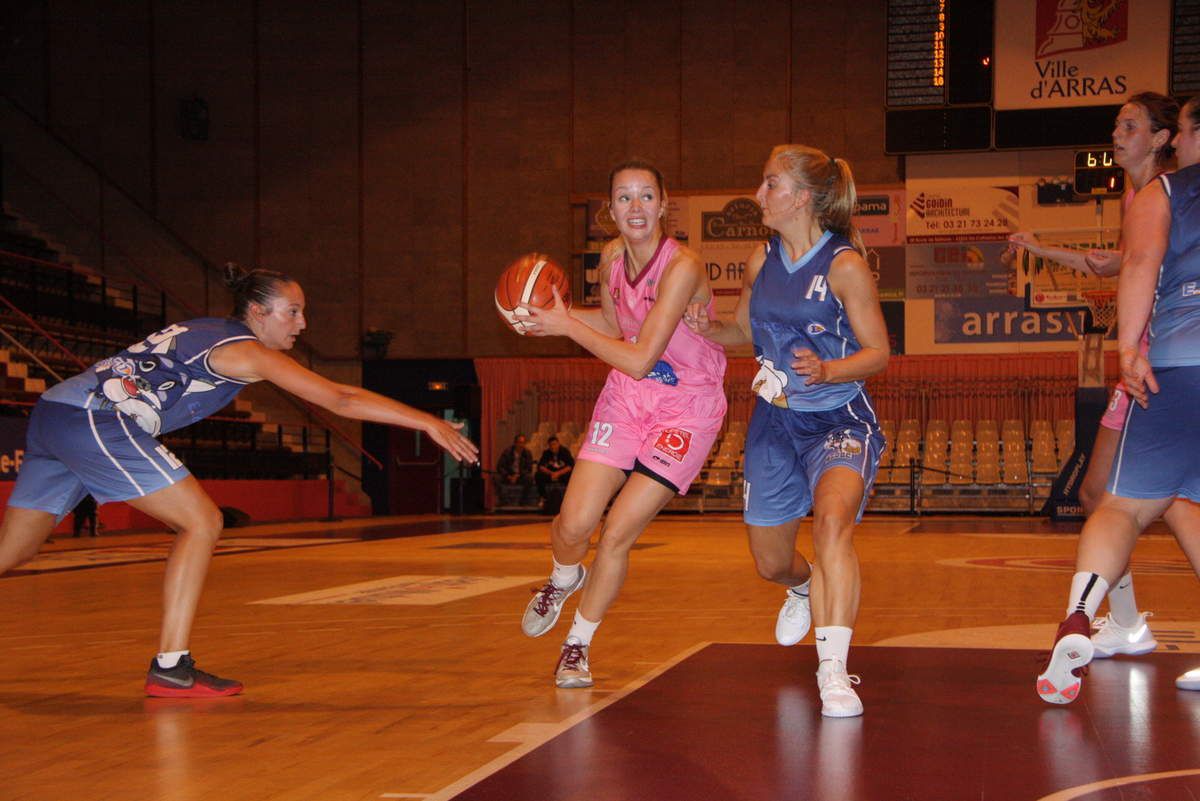 basket - Arras Panier Garni