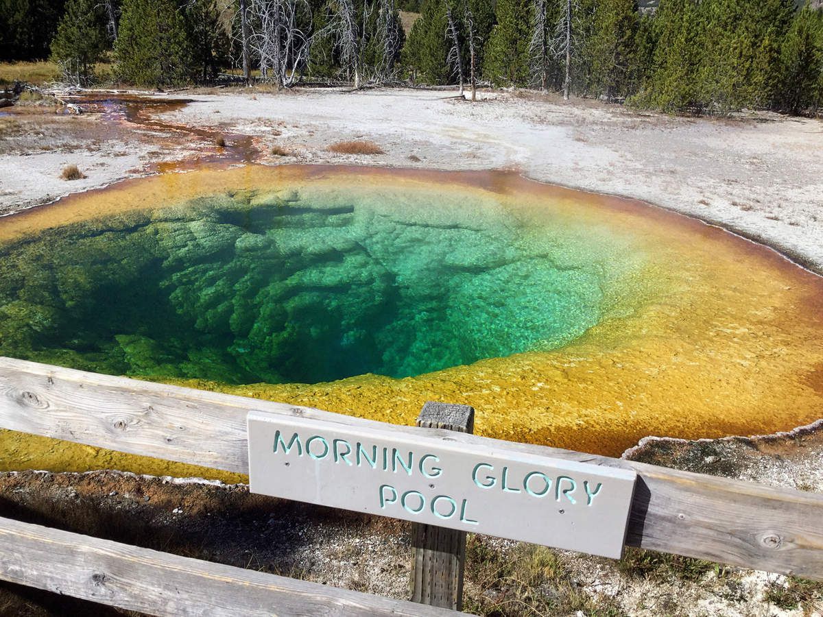 Yellowstone Morning Glory Pool