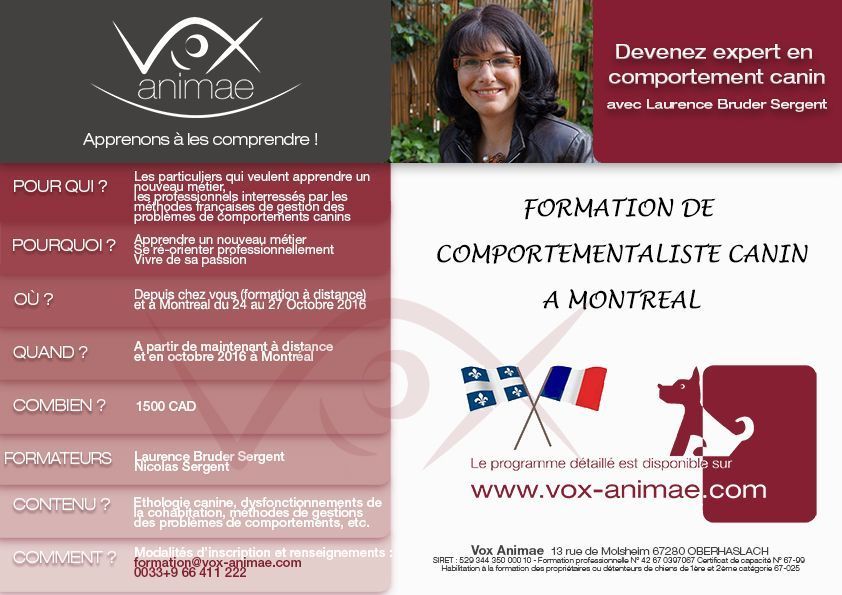 Formation Comportementaliste Canin Formation Comportementaliste Canin