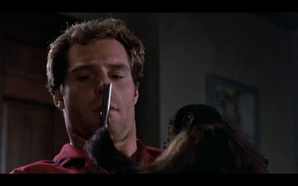 Séances de rattrapage