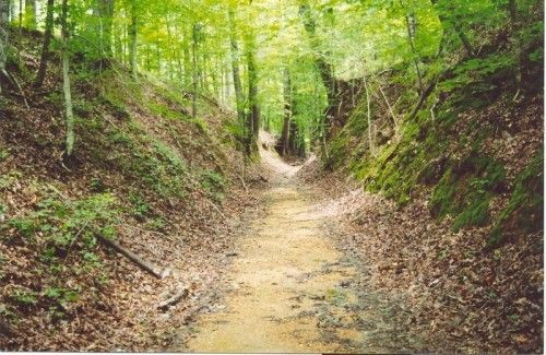 Les Sentiers  - Les Sentiers De La Colline (Srg) Rue De Messe Les Sentiers De La Varappe (Sa Se) Rue Des Riches Claires, 41 | 1000 Bruxelles Tél :