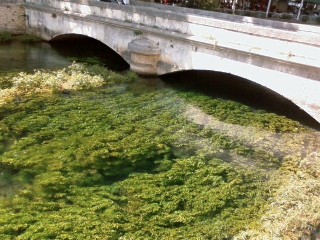 Rencontre petrarque