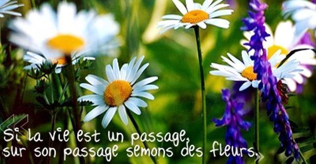 Dommage c'était bien !