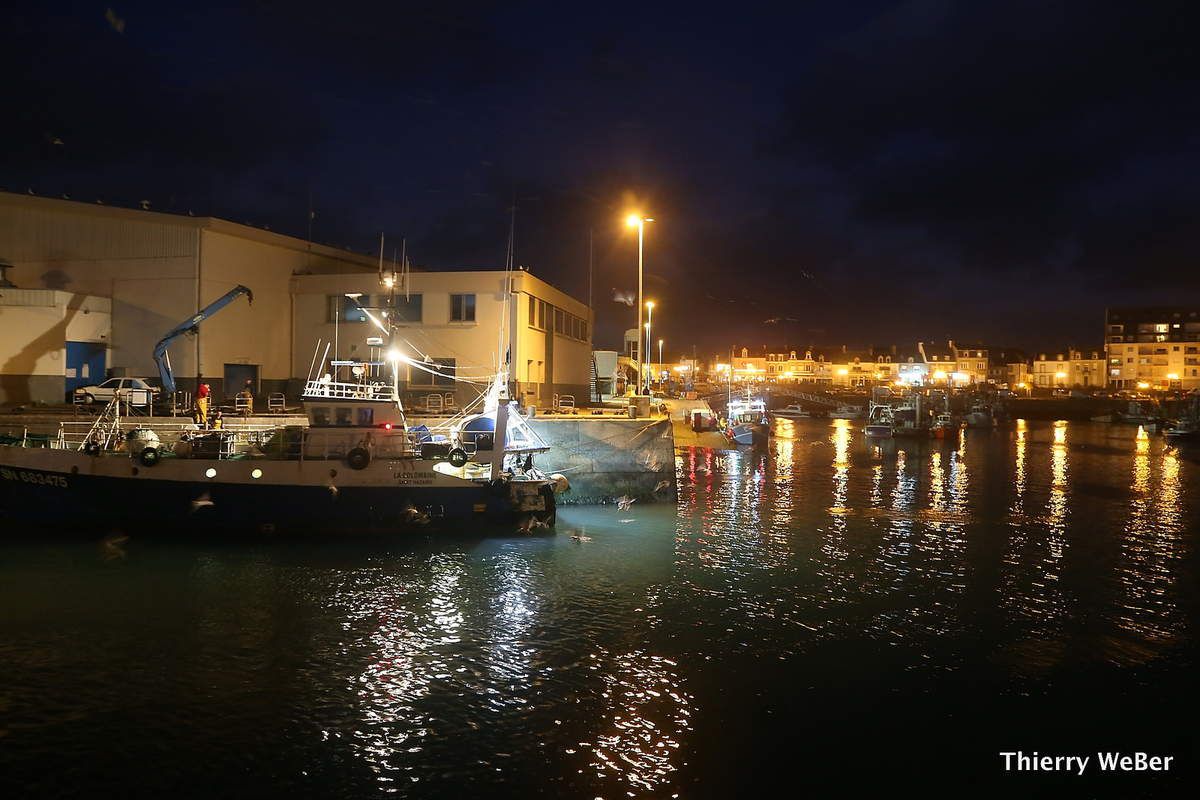 Le port de La Turballe de nuit