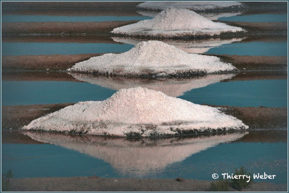 Le sel de la Presqu'Ile Guérandaise