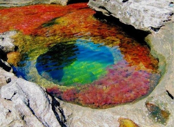 la presses du Dimanche 06/09