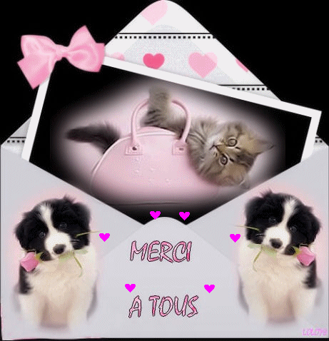 la presses du Dimanche 06/09