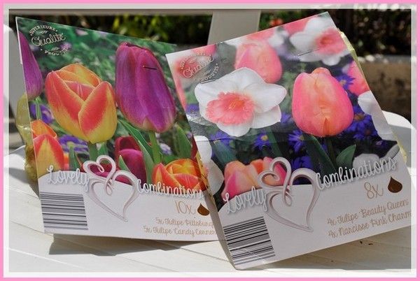 la presses du Dimanche 06/09