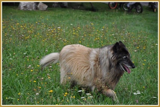 la presses du Dimanche 06/09