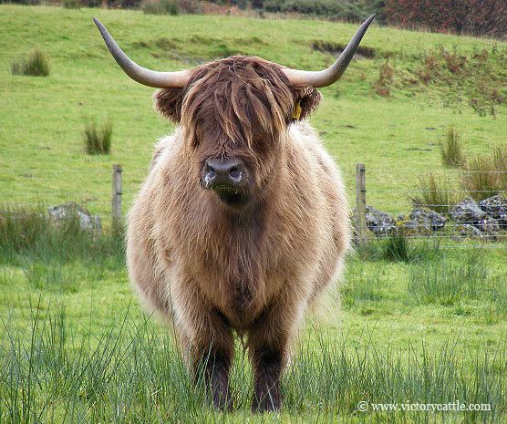 La Presse du Dimanche 27/03