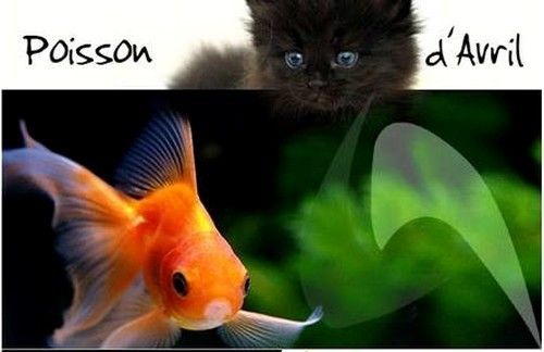 Entrée libre saison 2...(ou pas ?)