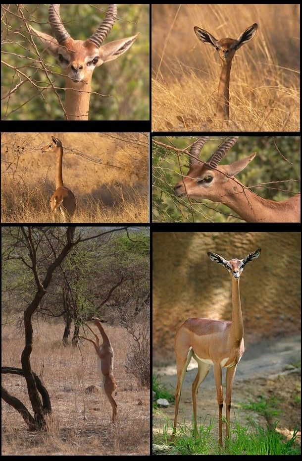 La Presse du Dimanche 12/06