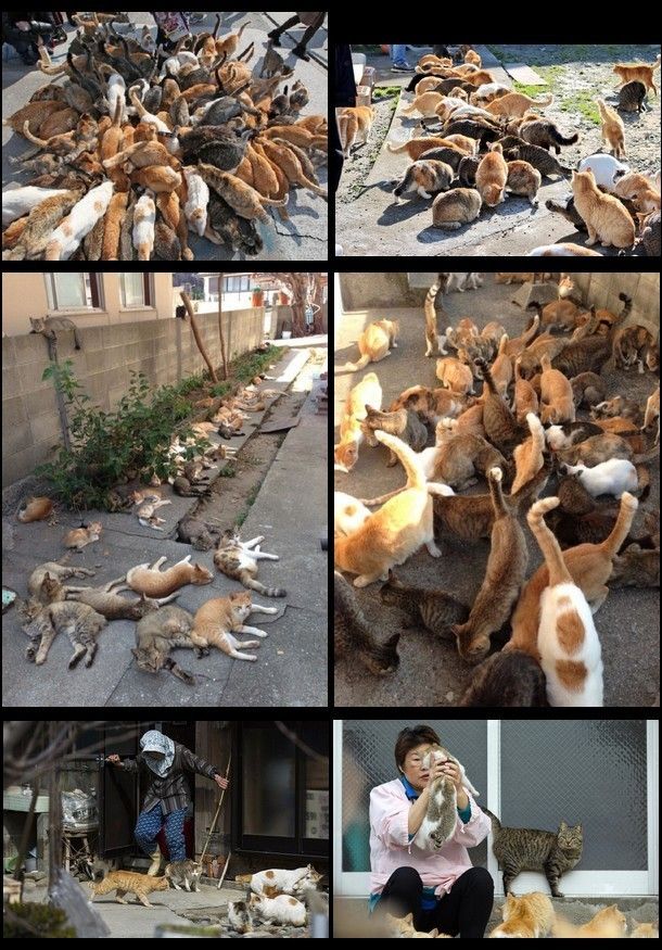 dernier mercredi sans son titre