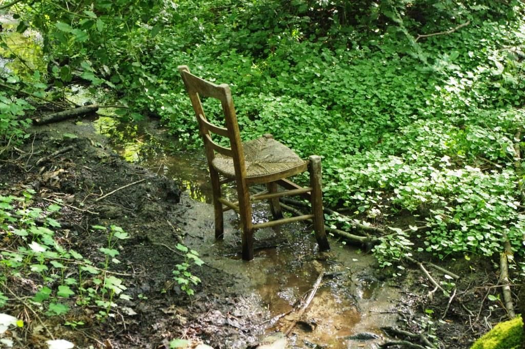 rencontre foret de montmorency