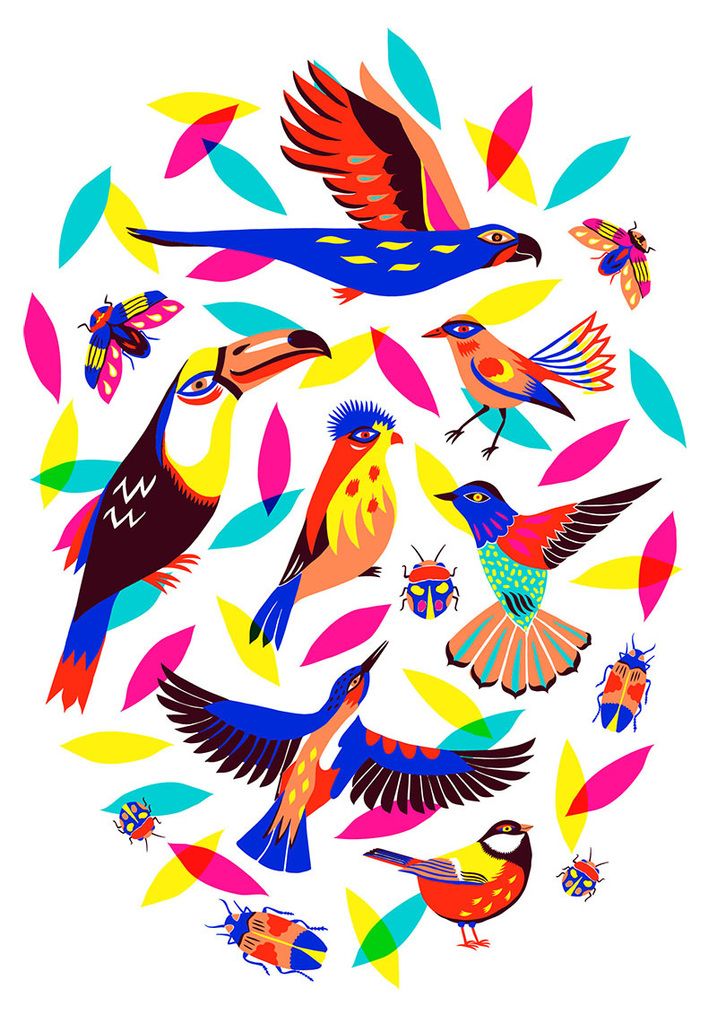 Birds and bugs par Margaux Carpentier