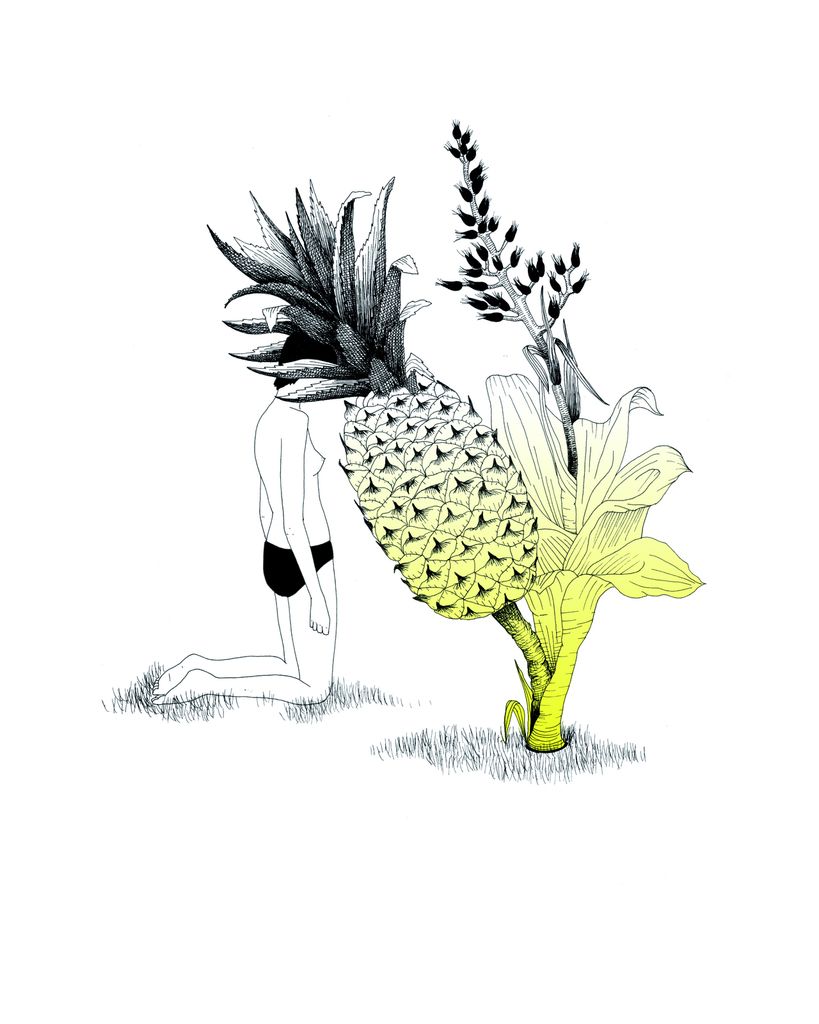 Ananas ! par Hélène Paris