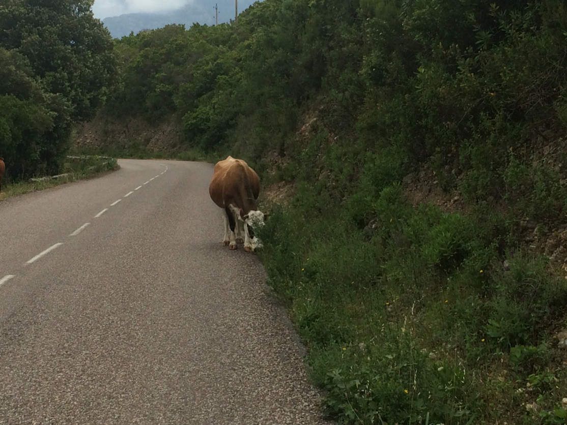 whaou rencontre