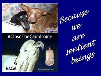 Campagne #CloseTheCanidrome