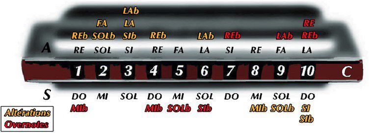 Le diatonique - Le blog du site apprendrelharmonica.com