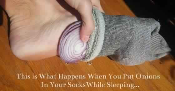 Home Remedy For Cold Of A Cat Home Remedy For Cold Of A Cat