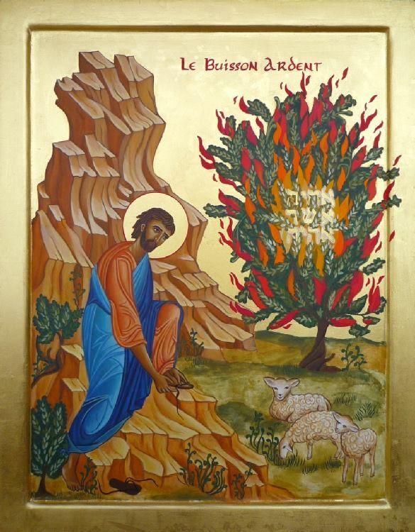 Jésus affirme qu’au plan du salut les riches sont en situation périlleuse : « Il est plus facile à un chameau de passer par le trou d’une aiguille qu’à un riche d’entrer dans le Royaume de Dieu ». Il faut avoir le courage de dire avec l’Evangile que la richesse met vraiment l’homme en état de perdition sans quoi la parole de Jésus n’a plus de sens... Pourtant le même Evangile nous montre des riches entrant dans le Royaume : pensons par exemple aux Mages, à Nicodème, à Matthieu, à Zachée... Le riche a donc des chances de se sauver... Oui, à condition de passer par le trou de l’aiguille, c’est-à-dire à condition de ne pas résister à la grâce du Christ qui rend pauvre de cœur. Car Dieu, bien sûr, peut toujours toucher et changer le cœur du riche... Les Mages alors deviennent capables de quitter leur confort et d’offrir leurs trésors, Matthieu devient capable d’abandonner son bureau de percepteur pour suivre Jésus, Zachée devient capable de restituer au quadruple l’argent mal acquis et de donner la moitié de ce qui reste aux pauvres. Le riche peut donc se sauver à condition de se sentir foncièrement et constamment pauvre, à condition d’être assez détaché de ses biens pour pouvoir partager généreusement... Un chrétien ne peut donc garder des richesses que par devoir et dans les limites du devoir. Retenir plus d’argent qu’il ne faut, compte tenu bien sûr de sa situation, c’est aimer l’argent et par conséquent c’est mépriser Dieu. « Vous ne pouvez pas aimer Dieu et l’argent... » La question qui se pose au possédant chrétien n’est donc pas : que suis-je obligé de garder ? Sous-entendu : je désire donner le plus possible. Vous allez me dire que pareille attitude tient du miracle. Jésus répond que rien n’est impossible à Dieu. Avec sa grâce nous pouvons devenir de véritables pauvres selon l’Evangile, car, faut-il encore le redire, personne s’il veut être sauvé, ne sera dispensé de la pauvreté volontaire.(Père Cousty)