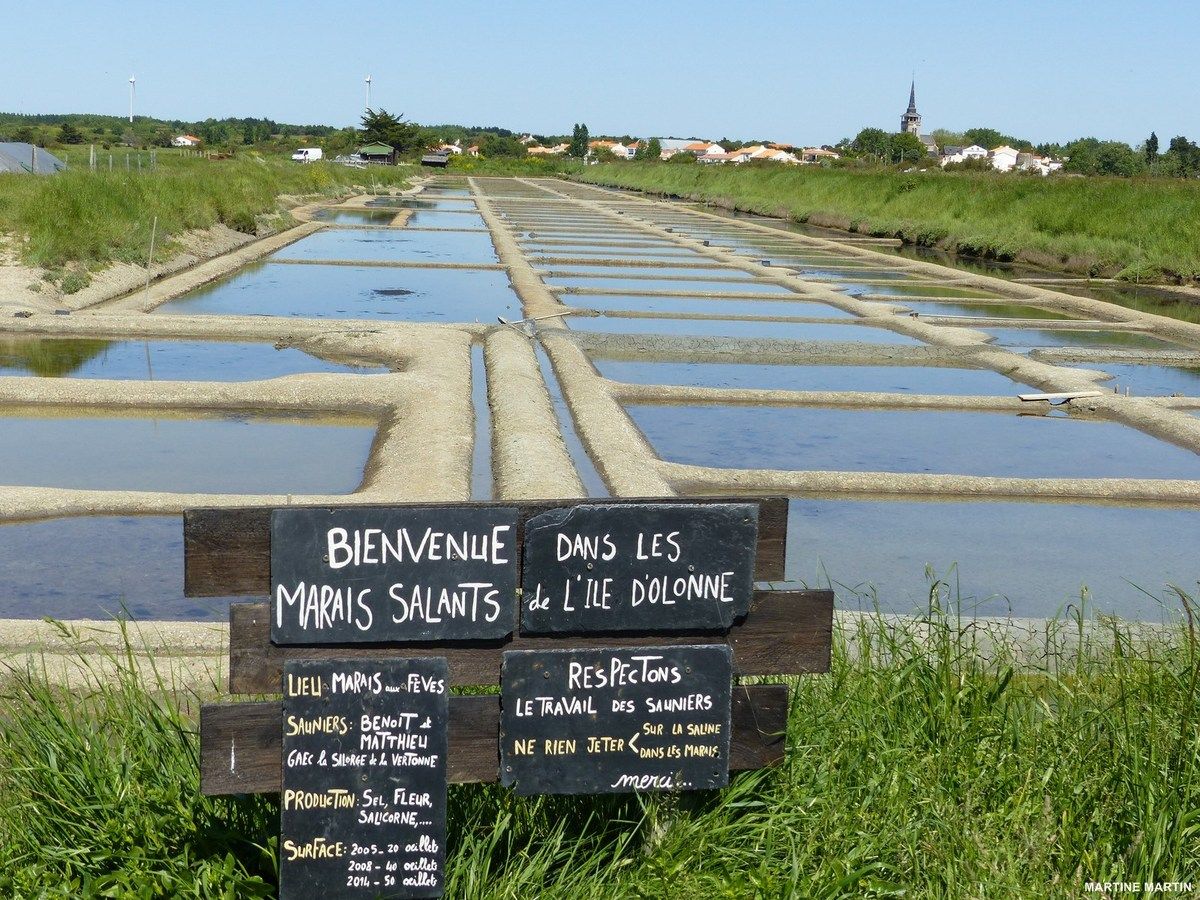 Rencontre olonzac