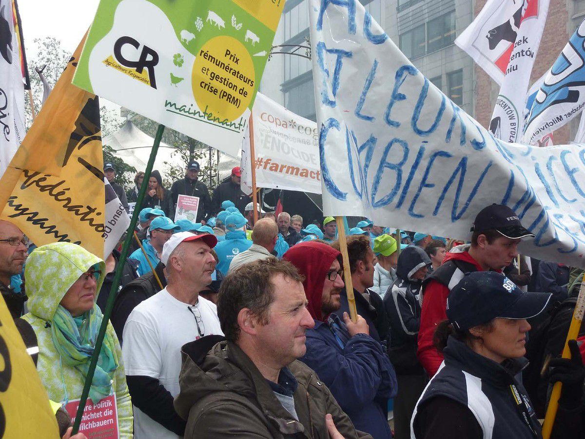 Des agriculteurs venant de nombreux pays européens, le 7 septembre, à Bruxelles, pendant les interventions des responsables de la manifestation EMB en faveur d'une politique de régulation au niveau de l'UE