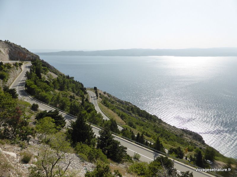 Vers le littoral de la Dalmatie