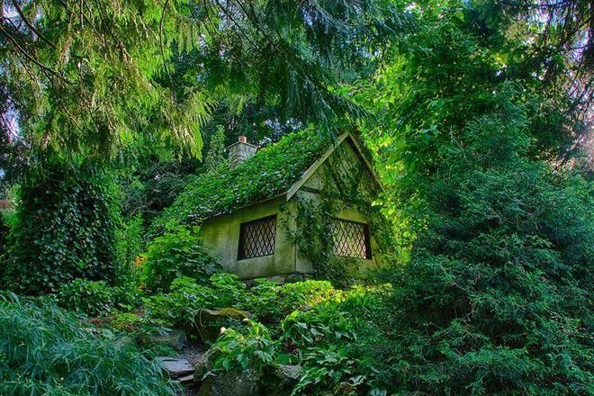 1 divers-foyer-vegetal