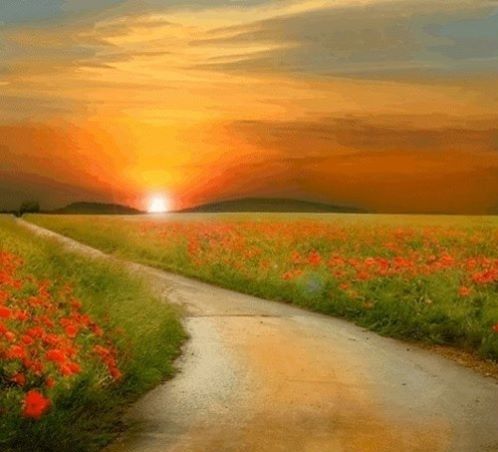 1 saison-printemps-coquelicot