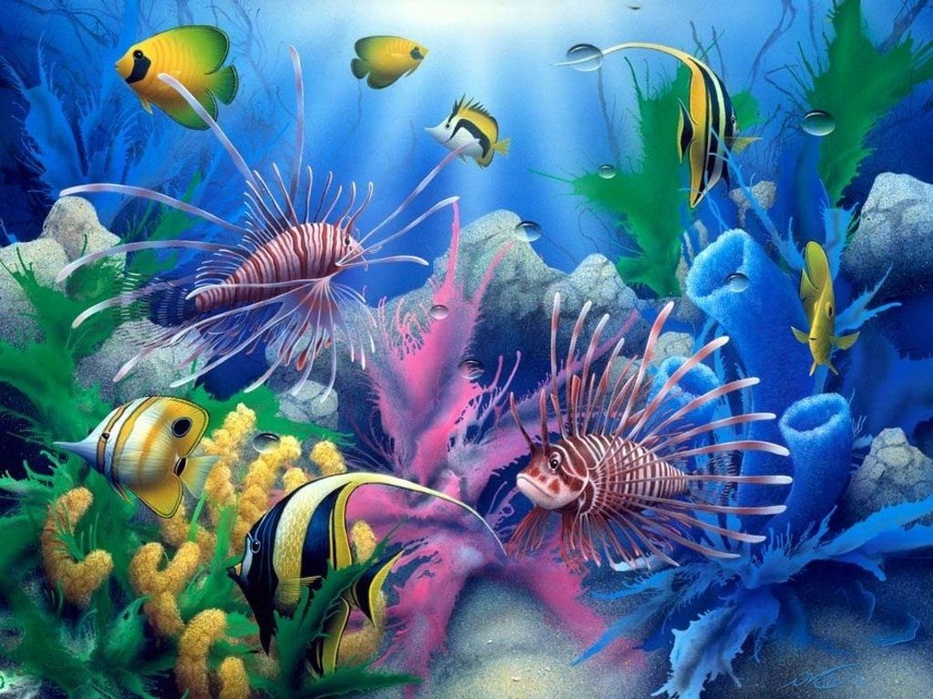 1 animal-poisson-mer-chaude