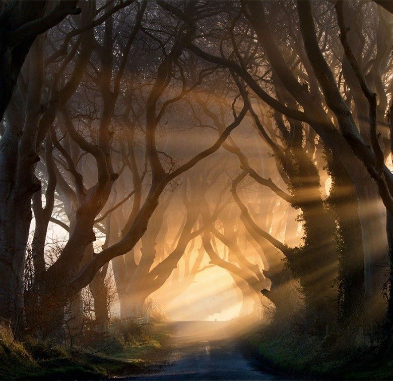 1 chemin-amazing-paths-7-e1427241387109