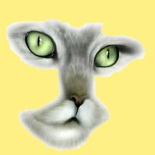 1 animal-chat-futur-00-art