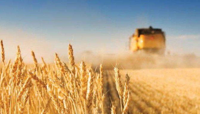 Ecophyto : pour la protection des travailleurs de l’agriculture, la FGA-CFDT demande l’interdiction des produits phytosanitaires les plus dangereux : CMR 1 et 2 