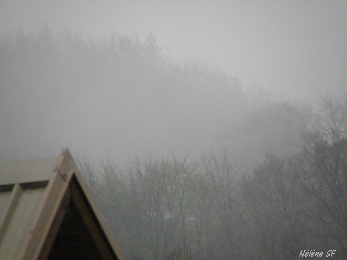 Photos reposantes: Brumes et brouillards