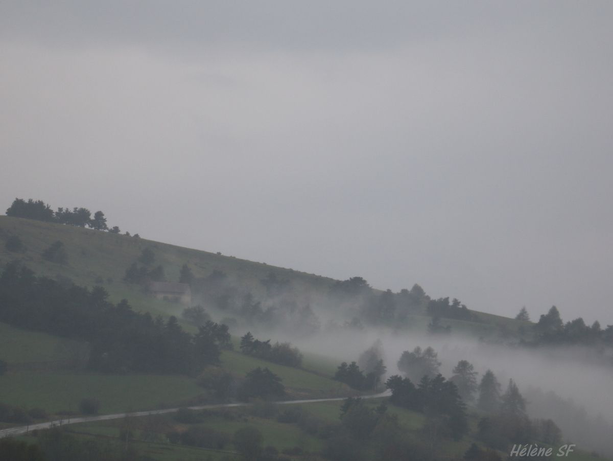 Photos reposantes: Brumes et brouillards