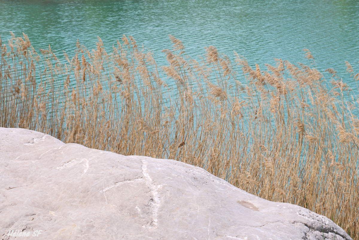 Balade fleurie autour du Lac de Peyrolles en Provence