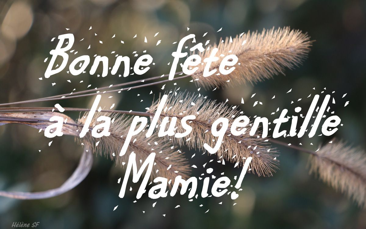 Carte Bonne Fete Grand Mere Gratuite Cartes gratuites à imprimer bonne fête Mamie - Hélène SF