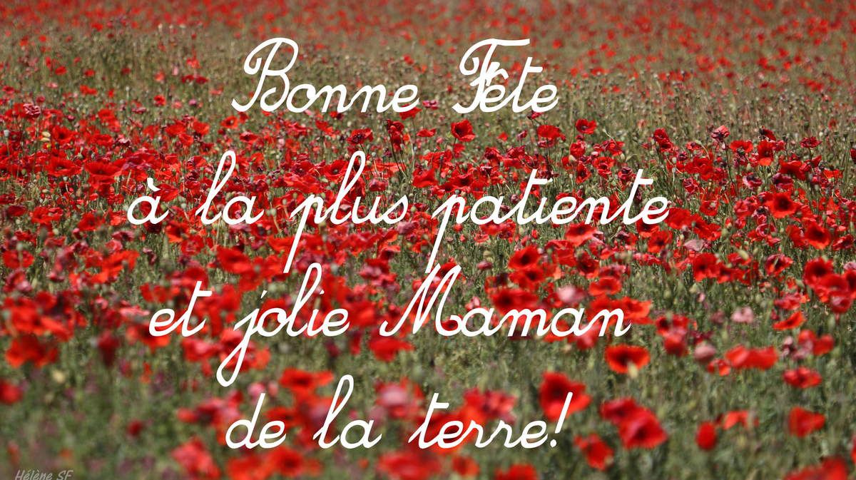 Cartes gratuites à imprimer pour la fête des mères avec des coquelicots -  Hélène SF