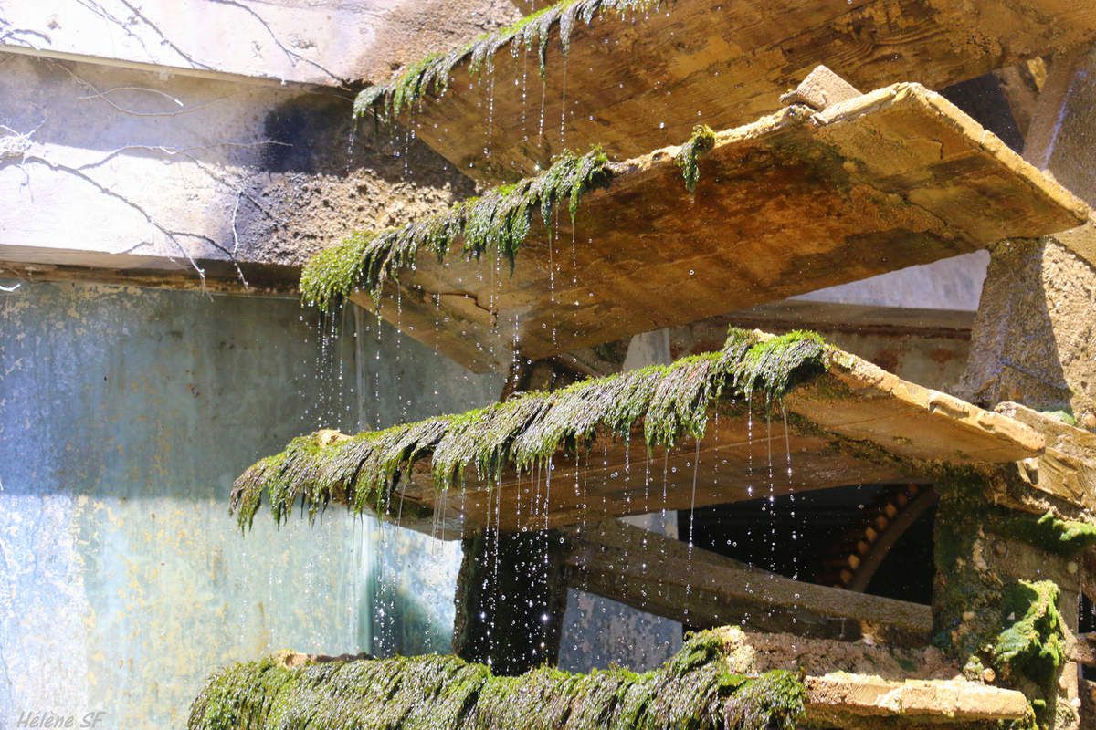 Fontaine de Vaucluse: visiter le moulin à papier et apprendre à faire du papier artisanal