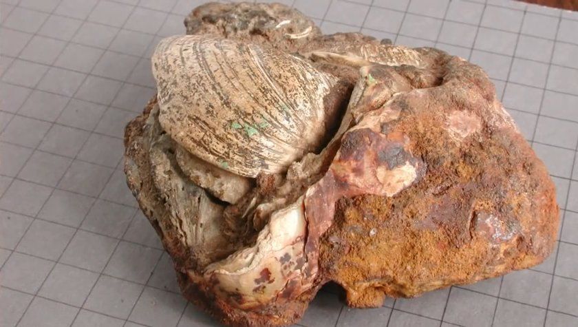 Le marteau de Londres, Texas