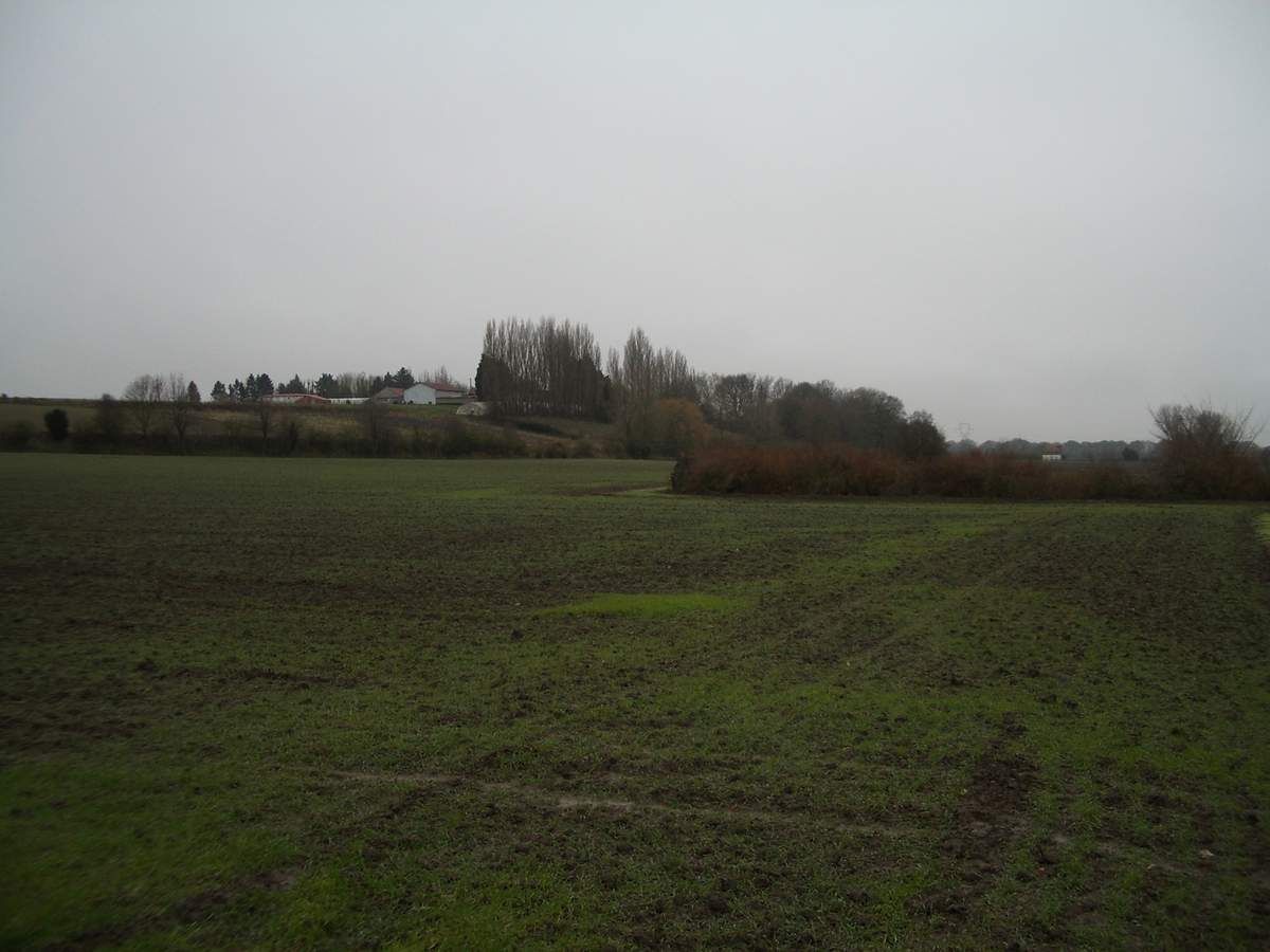 randonnee pedestre weppes