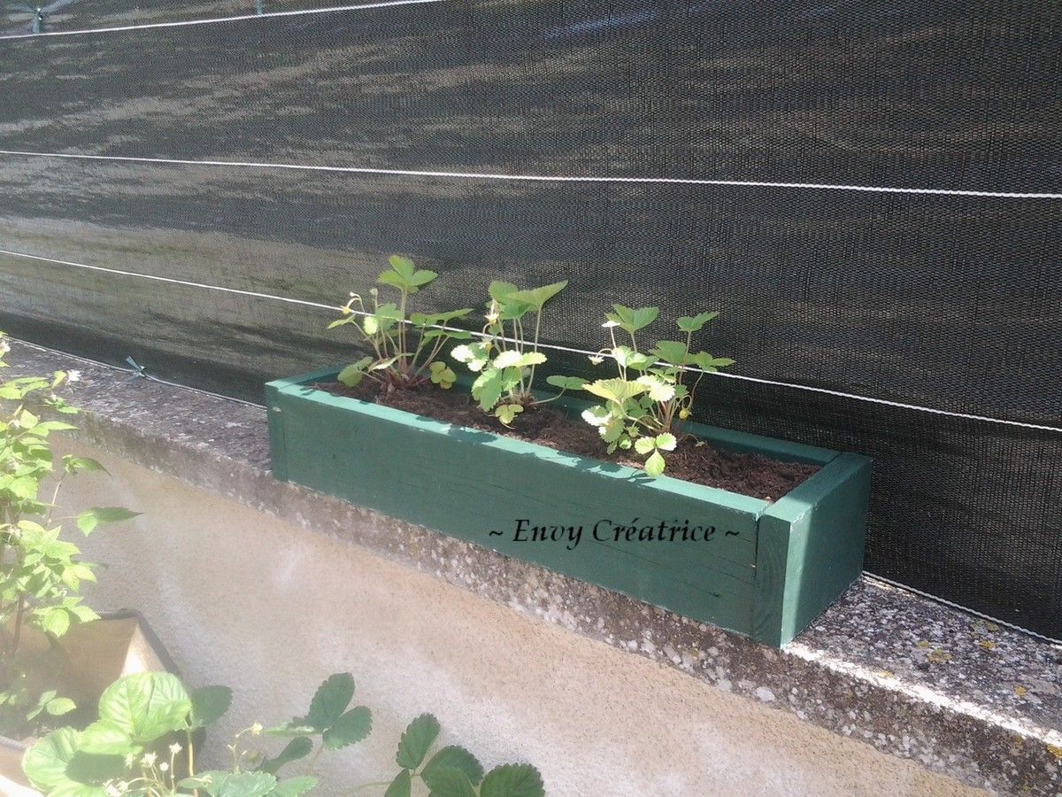 Jardinière En Palette Pour Fraisier Jardinières en palette : Mes fraisiers sont plantés - Le blog de Envy  Créatrice