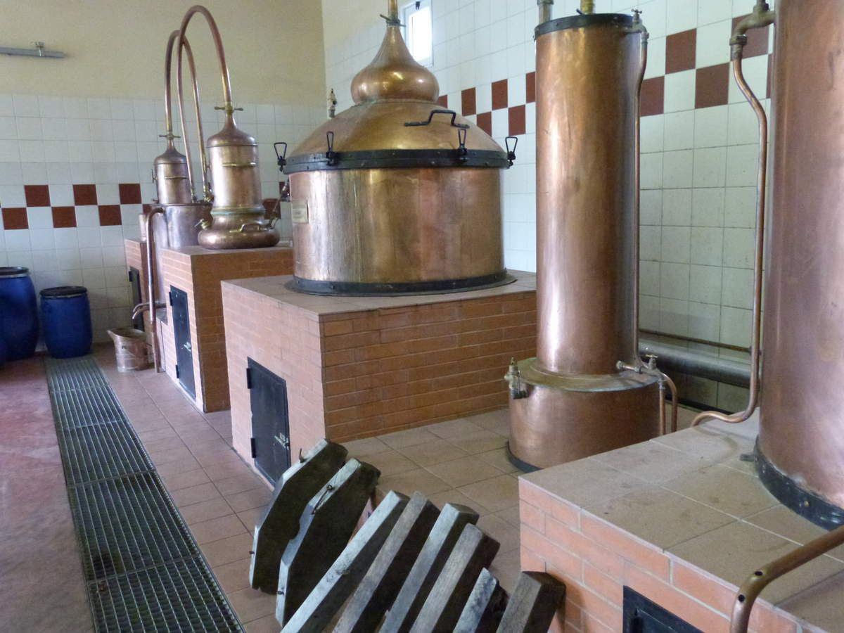 Notre visite à la distillerie Clovis Reymond