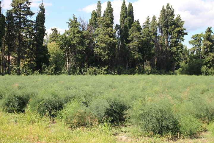 gite rural luberon