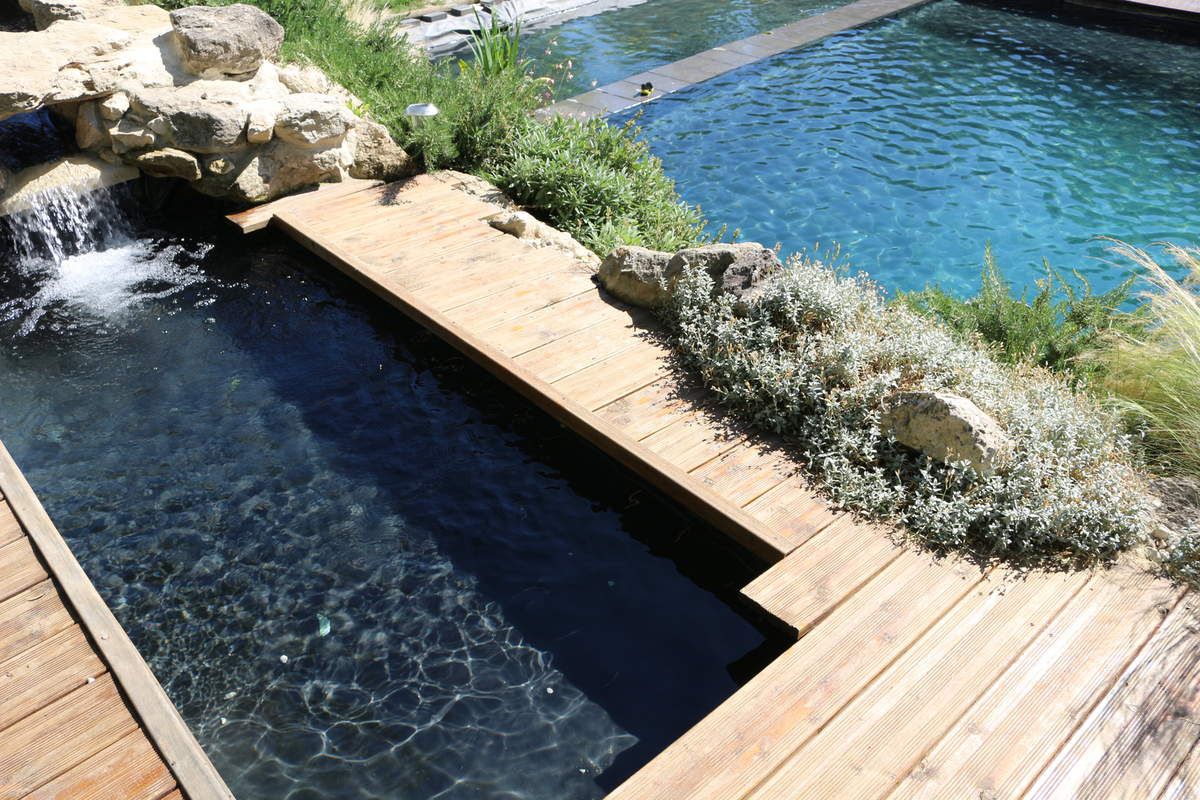 construire sa piscine naturelle