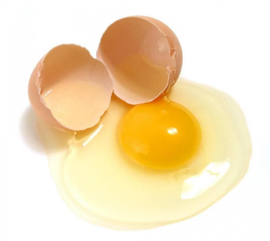 Protéines animales - le jaune d'œuf