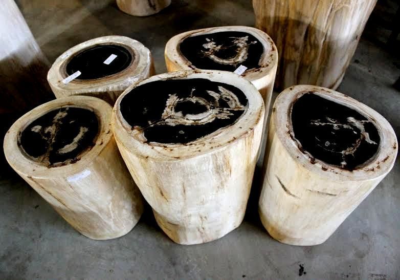 Petrified Tree Stump Side Table IndoGemstone