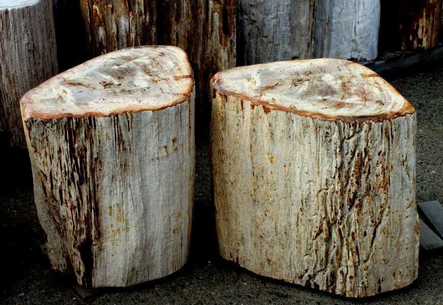 Petrified Tree Stump Side Table IndoGemstone